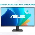 Best Budget Monitors for Programming